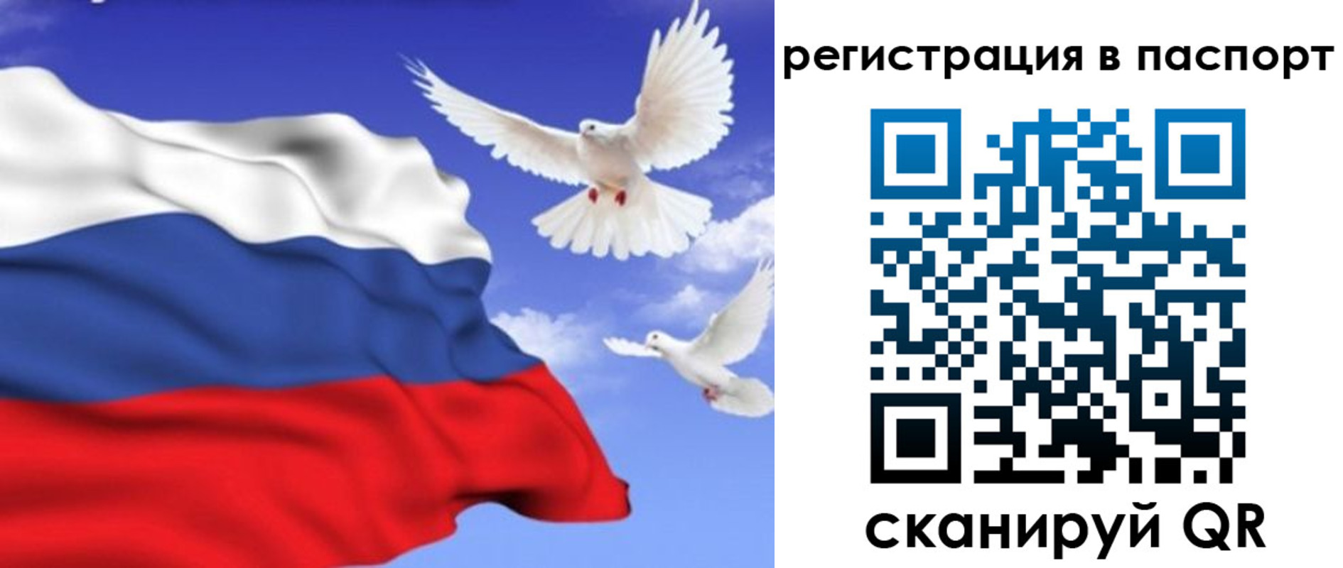 купить прописку в Касимове